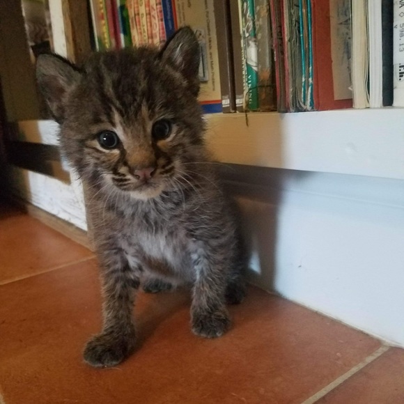 Meet your Posher, Michelle 🦇🐢🦨🦝🐿🦡🦔🐀 - Picture 14 of 16